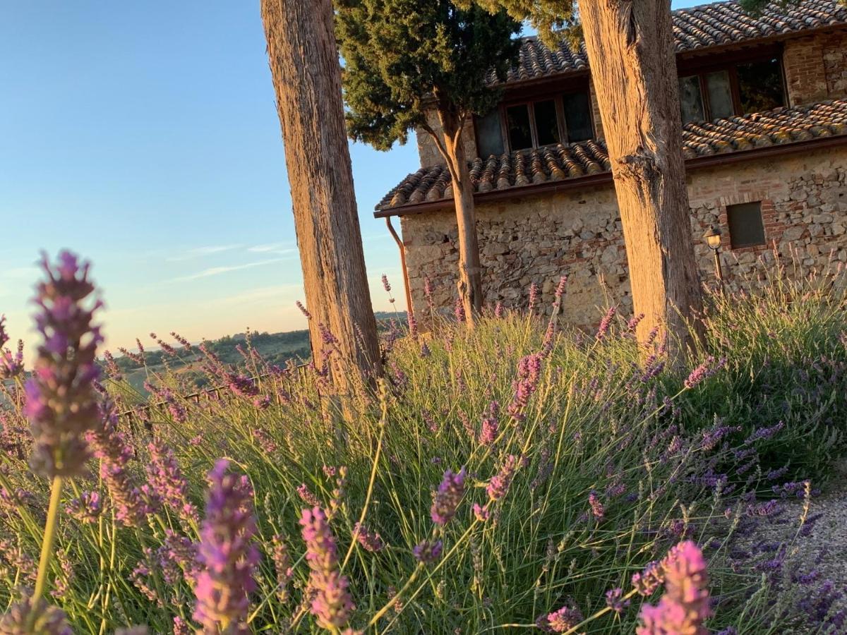 Fattoria Monastero Sant'Anna In Camprena Βίλα Πιέντσα Εξωτερικό φωτογραφία