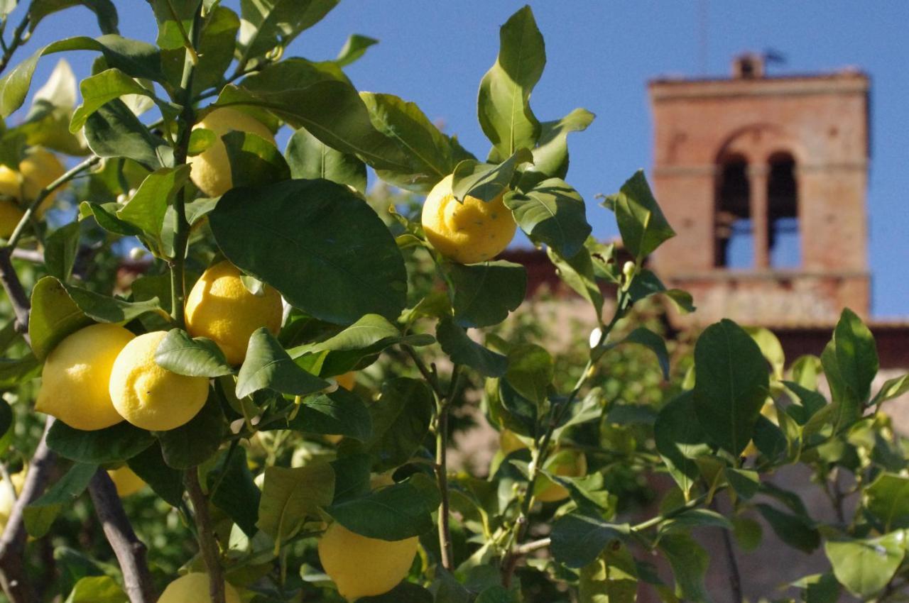 Fattoria Monastero Sant'Anna In Camprena Βίλα Πιέντσα Εξωτερικό φωτογραφία