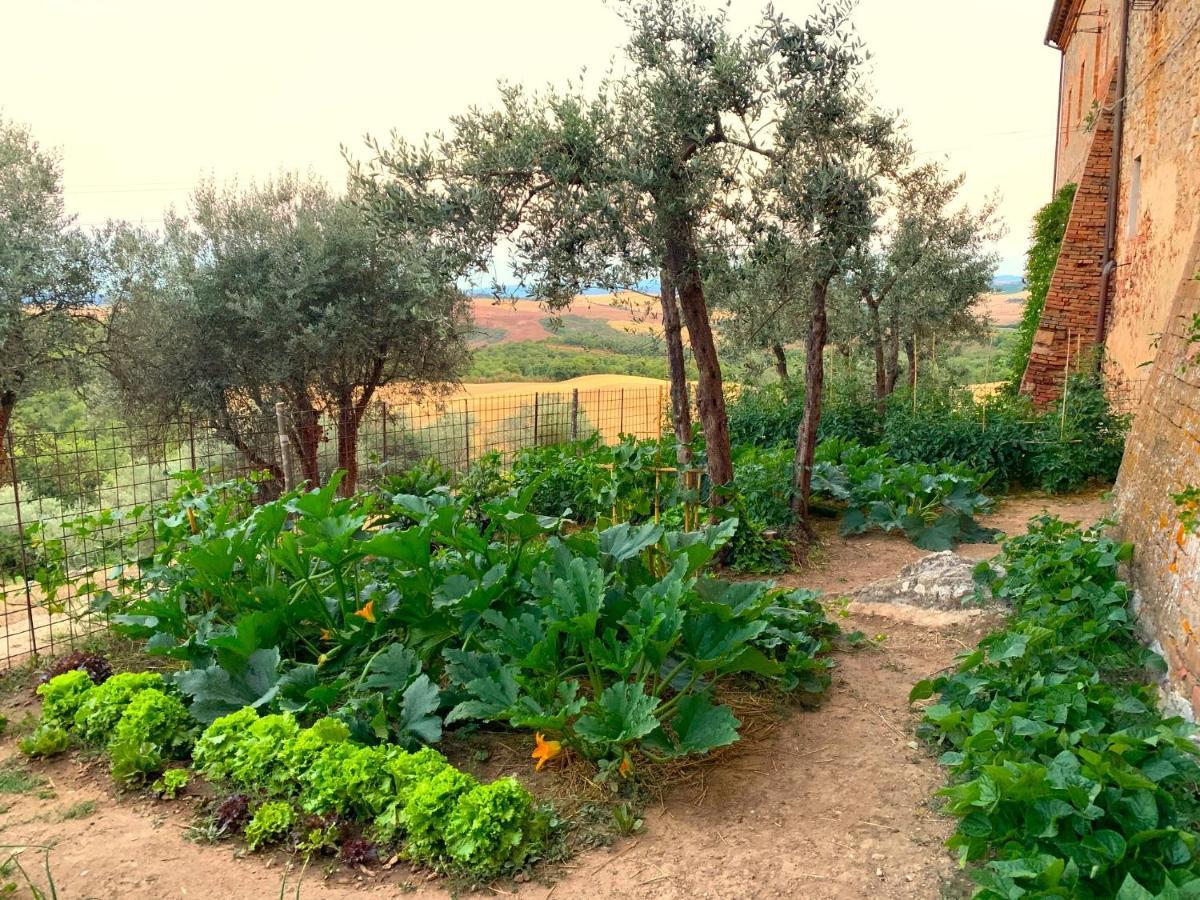 Fattoria Monastero Sant'Anna In Camprena Βίλα Πιέντσα Εξωτερικό φωτογραφία