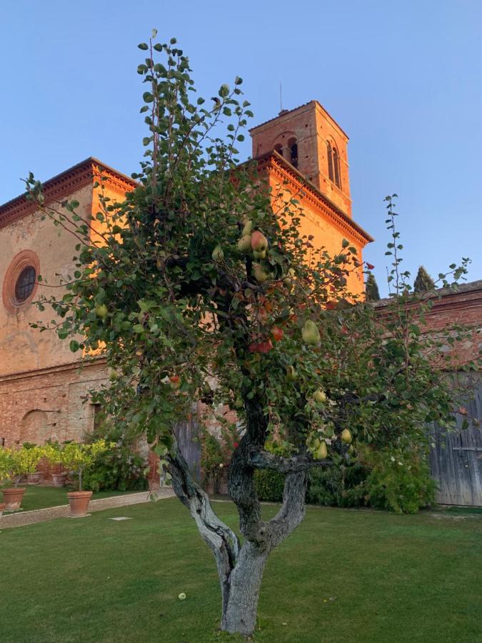 Fattoria Monastero Sant'Anna In Camprena Βίλα Πιέντσα Εξωτερικό φωτογραφία